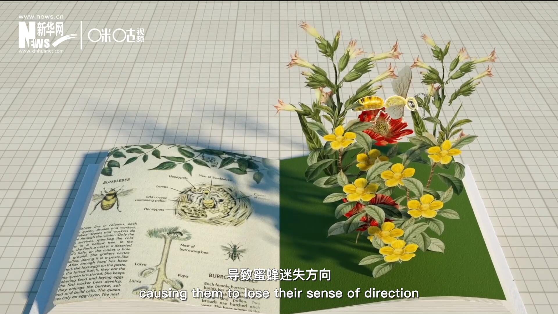 殺蟲(chóng)劑會(huì)破壞蜜蜂的神經(jīng)系統(tǒng)，導(dǎo)致蜜蜂迷失方向，無(wú)法回到蜂房，還會(huì)降低蜜蜂的抵抗力