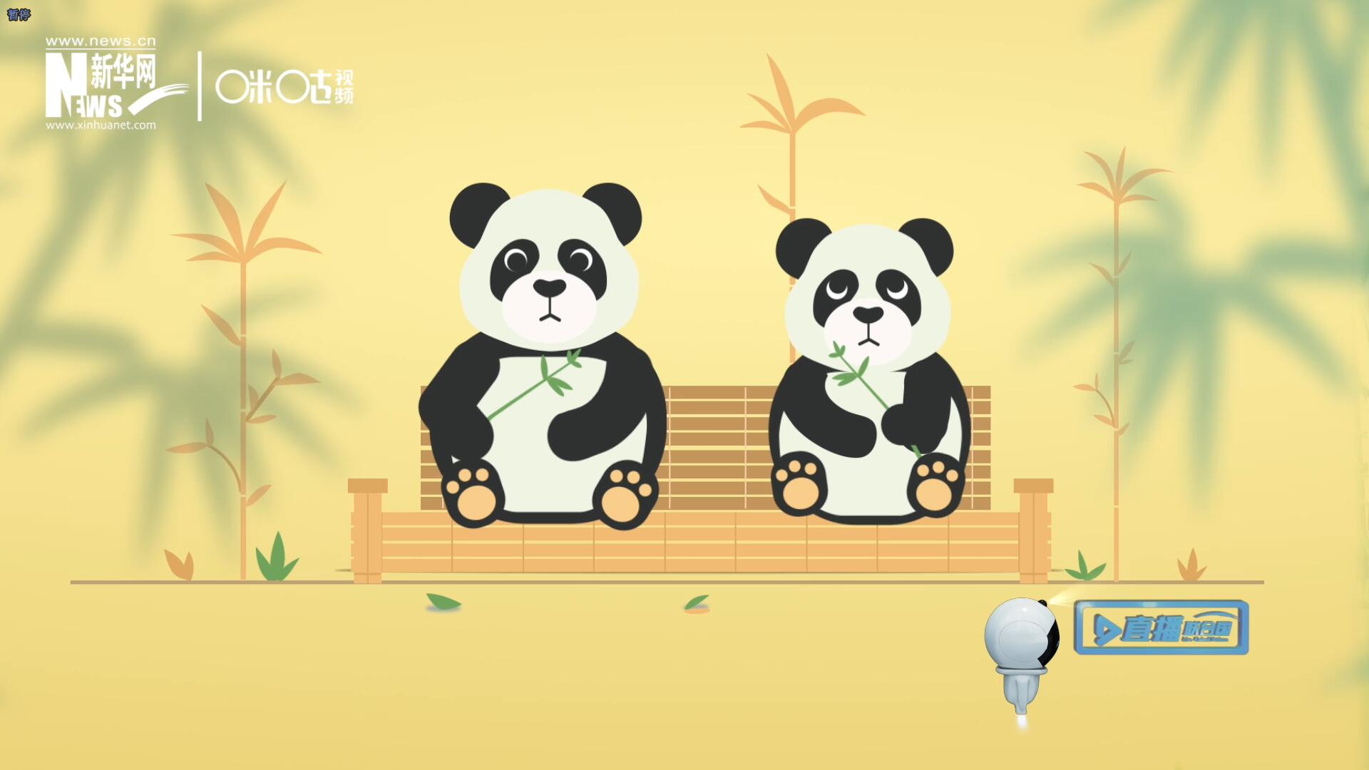 &ldquo;哥哥你看，又有人來看我們了。&rdquo;&ldquo;有什么奇怪的，我們可是聯合國&lsquo;最萌&rsquo;的大使啊！&rdquo;。