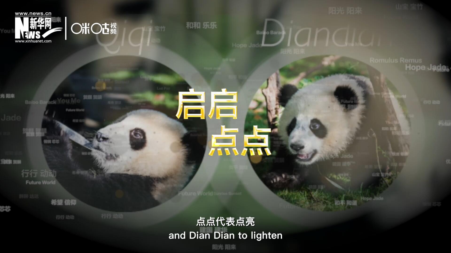 啟啟代表&ldquo;啟發&rdquo;，點點代表&ldquo;點亮&rdquo;，象征著2030年可持續發展議程 的&ldquo;起點&rdquo;，也象征著全球可持續發展路徑的新起點。