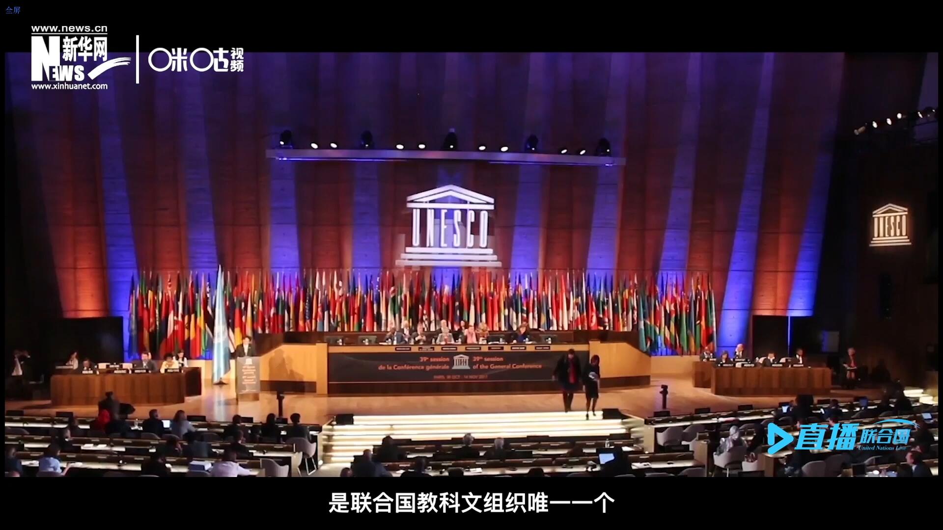 民間藝術國際組織成立于1979年，是聯合國教科文組織唯一一個以保護和挖掘國際民間藝術為工作中心的國際機構。