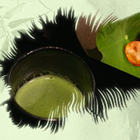 熱茶與伏天的關系，只有清涼