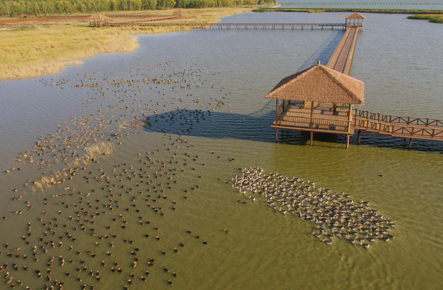 新華微評&middot;學習路上：生態興，百業旺