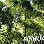 國有林場林區改革