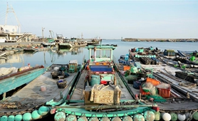 骨肉天親同枝連&mdash;&mdash;兩岸&ldquo;東石&rdquo;同名村探&ldquo;緣&rdquo;