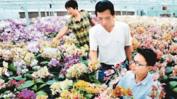 臺(tái)商眼中的改革開(kāi)放：風(fēng)景這邊獨(dú)好 要去，要去，要去！