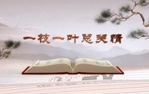 《平&ldquo;語&rdquo;近人&mdash;&mdash;習近平總書記用典》（第一集）一枝一葉總關情