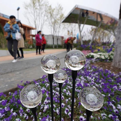 【畫重點】真假？！北京又要辦一場&ldquo;奧林匹克&rdquo;盛會