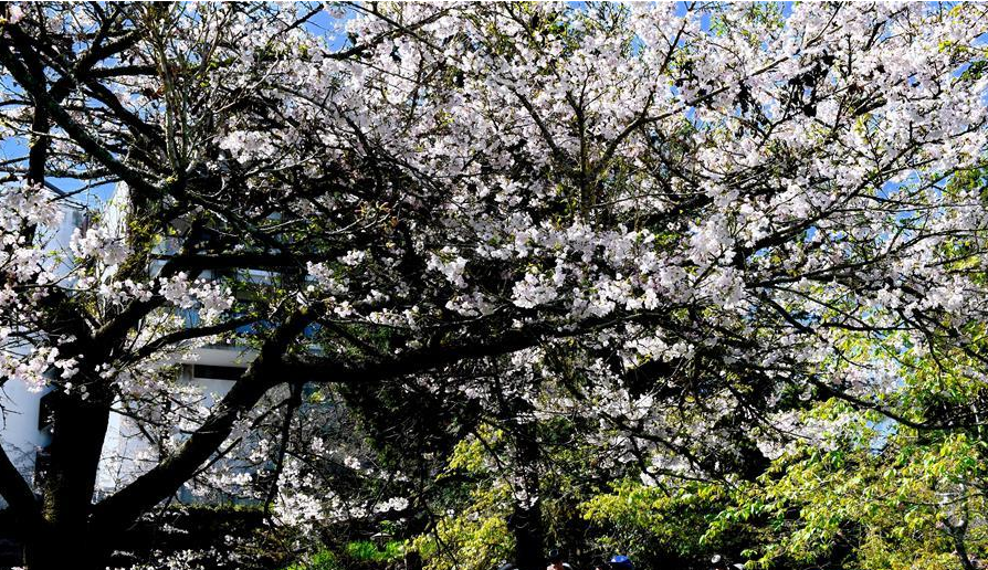 生態中國&middot;山清水秀瞰寶島