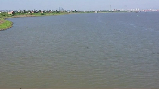 江西：20余頭江豚&ldquo;打卡&rdquo;贛江南昌段