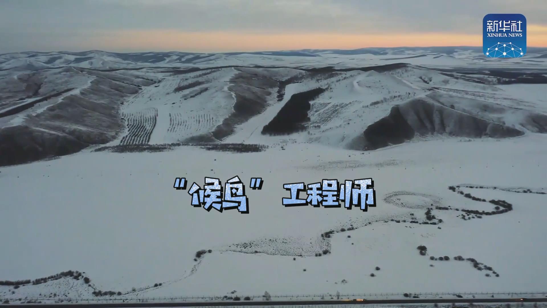 我們在奔跑丨一路向北！他是逆行的&ldquo;候鳥&rdquo;