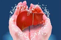 【健康解碼】轉氨酶正常肝臟就一定正常嗎？