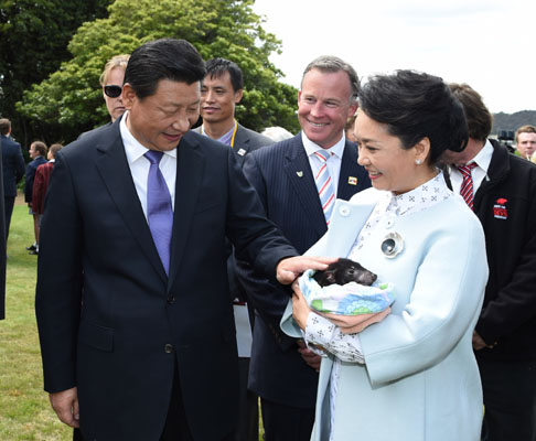 11月18日，國(guó)家主席習(xí)近平在澳大利亞塔斯馬尼亞州與朗塞斯頓市斯科奇－歐克伯恩小學(xué)的小學(xué)生共同植樹。這是習(xí)近平和夫人彭麗媛植樹后撫摸袋獾。新華社記者 馬占成 攝