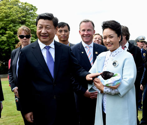 11月18日，國(guó)家主席習(xí)近平在澳大利亞塔斯馬尼亞州與朗塞斯頓市斯科奇－歐克伯恩小學(xué)的小學(xué)生共同植樹。這是習(xí)近平和夫人彭麗媛植樹后撫摸袋獾。新華社記者 饒愛民 攝