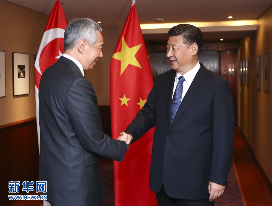 7月6日，國(guó)家主席習(xí)近平在漢堡會(huì)見(jiàn)新加坡總理李顯龍。 新華社記者謝環(huán)馳 攝