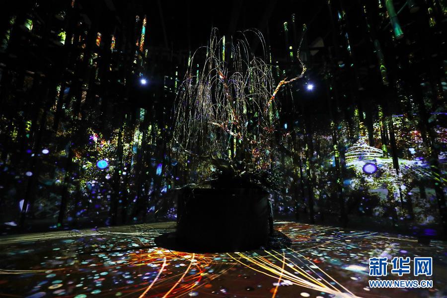 （國際）（4）日本東京：寒冬時節賞&ldquo;繁花&rdquo; 