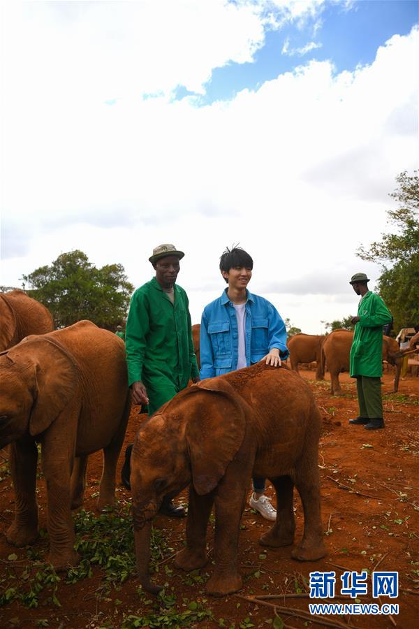 （國(guó)際&middot;圖文互動(dòng)）（3）專訪：環(huán)保要以身作則 從身邊小事做起&mdash;&mdash;訪聯(lián)合國(guó)環(huán)境署親善大使王俊凱