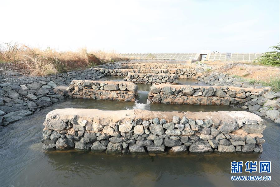 （國際&middot;&ldquo;一帶一路&rdquo;高峰論壇&middot;圖文互動）（1）通訊：為魚兒保障回家的路&mdash;&mdash;中國水電工程助力柬埔寨綠色發展