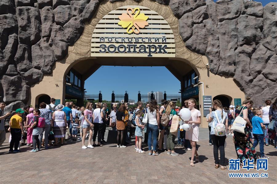 （習(xí)近平出訪配合稿&middot;圖文互動(dòng)）（1）通訊：&ldquo;友誼使者&rdquo;中國大熊貓入住莫斯科新家