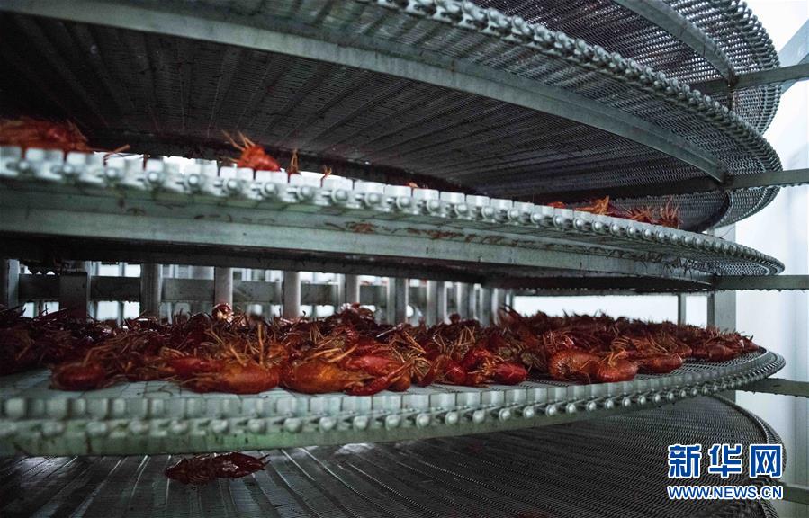 （國際&middot;圖文互動）（12）從尼羅河畔到中國餐桌&mdash;&mdash;一只&ldquo;洋&rdquo;小龍蝦的36小時(shí)旅程