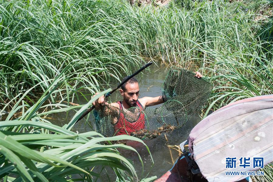 （國際&middot;圖文互動）（4）從尼羅河畔到中國餐桌&mdash;&mdash;一只&ldquo;洋&rdquo;小龍蝦的36小時(shí)旅程