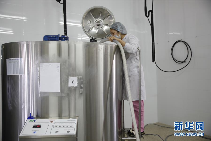 （國際&middot;圖文互動）（4）從&ldquo;先遣隊&rdquo;到&ldquo;正規軍&rdquo;&mdash;&mdash;哈薩克斯坦駱駝奶粉入華記