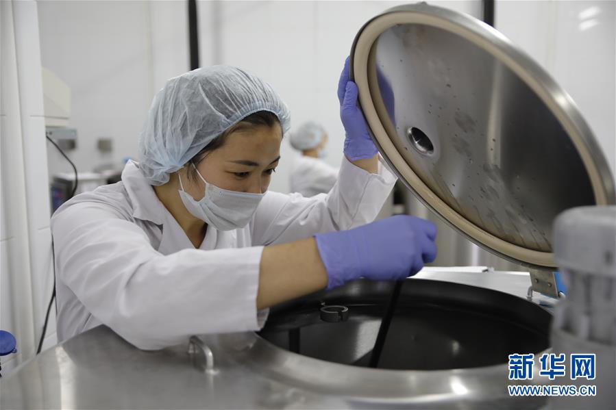 （國際&middot;圖文互動）（5）從&ldquo;先遣隊&rdquo;到&ldquo;正規軍&rdquo;&mdash;&mdash;哈薩克斯坦駱駝奶粉入華記