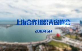 【老外街訪評】&ldquo;上合&rdquo;友人的&ldquo;上合之聲&rdquo;