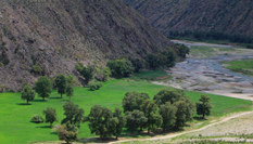 天山克爾古提盛夏時節谷里谷外&ldquo;冰火&rdquo;兩重天