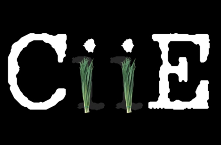 新華社創(chuàng)意動感視頻：考眼力！數(shù)數(shù)多少樣進(jìn)口貨