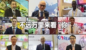看快閃《不遠萬里來看&ldquo;你&rdquo;》，聽老外點贊進博會