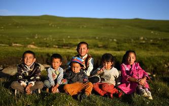 智和美草原上的夏日童趣